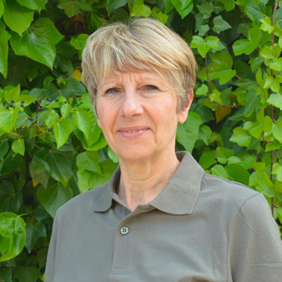 Patricia Perez Les Brins Verts